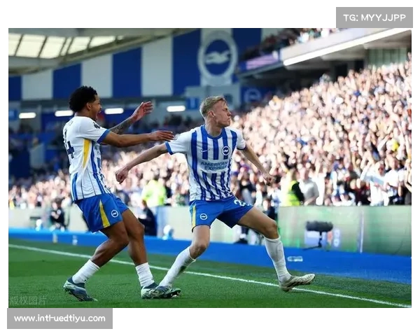 海鸥军团勇攀百胜高峰 蜜蜂军团周五增强再创辉煌